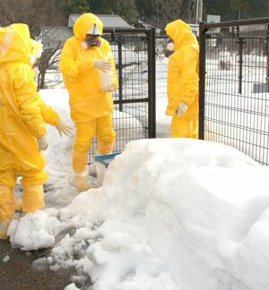 冬の積雪時を想定した緊急時モニタリング訓練で、雪を採取する県職員＝柏崎市高柳町岡野町