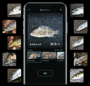 AIカメラで魚種などを自動判定するアプリ「フィッシュランカー」の画面