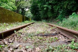 運休中の大井川鉄道大井川本線の線路=16日午前、静岡県川根本町