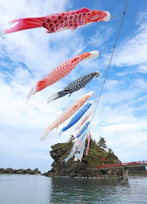 弁天浜に掲揚されたこいのぼり=4月24日、糸魚川市能生
