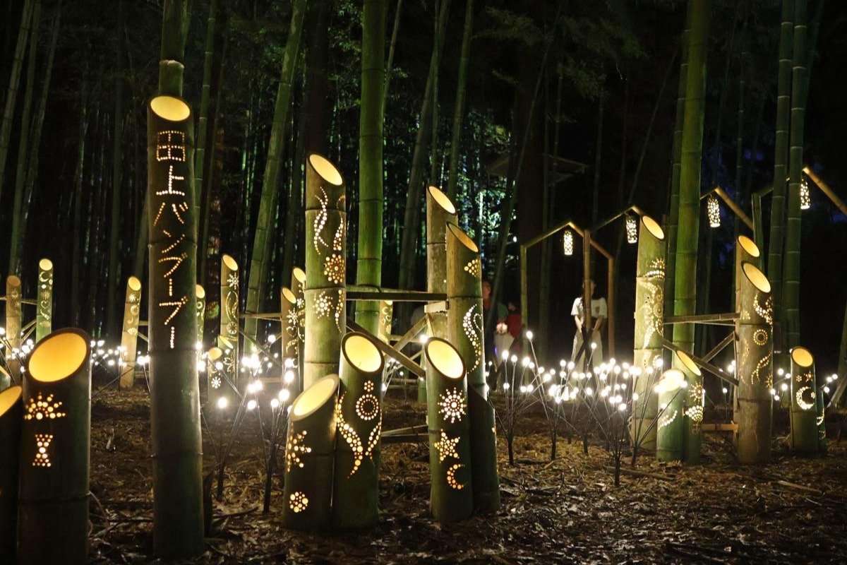 LEDバンブーツリー（笹竹） img_67466b6fbc70f5219d98629cb6