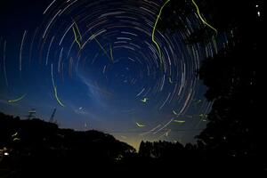 福島県大熊町大川原地区で飛び交うホタル。満天の星の下、緑色の光跡を描いていた=19日夜(長時間露光の画像を比較明合成)