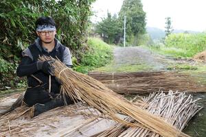 かやの元になるススキの長さをそろえるかやぶき職人の橋本和明さん=柏崎市高柳町荻ノ島
