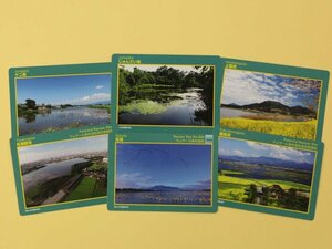 新潟市が配布している湿地カード