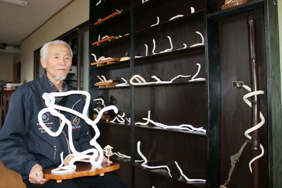 縁起のいい白蛇じゃ！木の枝や根の形を生かして加工 新潟県燕市の長岡