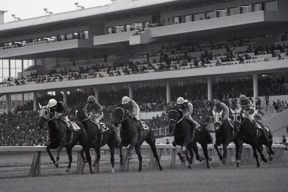 新潟日報fromアーカイブ］新潟競馬場の開設60年！記念すべき誕生日1965