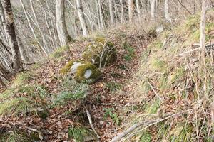 構成資産の一つとされた西三川砂金山の水路「筑後江」=佐渡市下黒山(佐渡市提供)