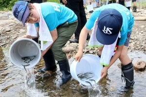 アユの稚魚を放流する斐太北小の児童たち=妙高市岡崎新田の矢代川