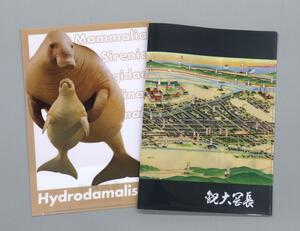  長岡市科学博物館が販売しているオリジナルのクリアファイル