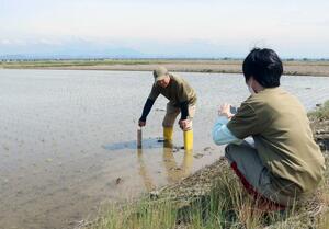 中干し前に田んぼの水はけを確認する吉崎良咲さん(左)=5月下旬、新潟市西蒲区熊谷