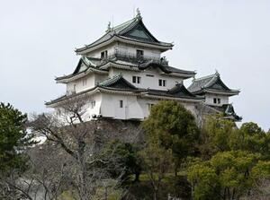 　１９５８年に再建された和歌山城天守＝３月、和歌山市