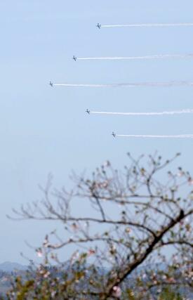 中越大震災復興記念祭に合わせて行われた、航空自衛隊によるブルーインパルス展示飛行＝２０２６年４月１９日、小千谷市の信濃川上空