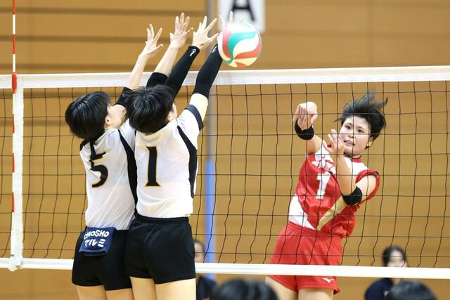 女子決勝 新発田商-長岡商 スパイクを打つ新発田商の伊藤萌