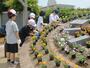 国道沿いの花壇や花時計に苗を植える児童生徒＝２日、佐渡市金井新保