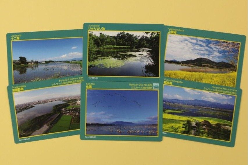 あっち、こっち、湿地♪新潟市が潟や池をPRする「湿地カード」6種類