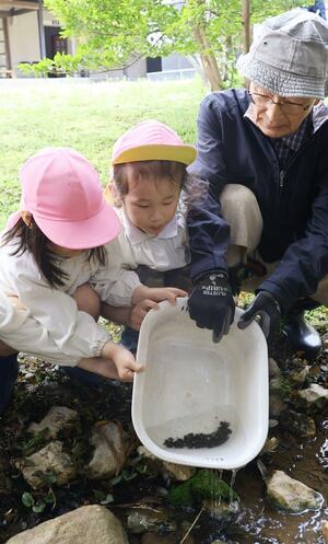 ホタルの幼虫を放流する味方ほたる愛好会メンバーと園児ら＝１５日、新潟市南区味方