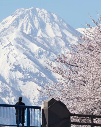 妙高山に現れた雪形「跳ね馬」８日、妙高市