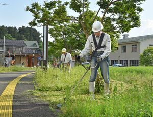 天地人通り沿いの草を刈る「花の広場の会」のメンバーら=5月25日、長岡市与板町与板