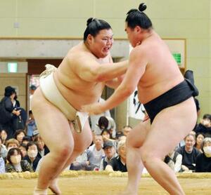 相撲を取る稽古を再開した大の里(左)=茨城県大洗町