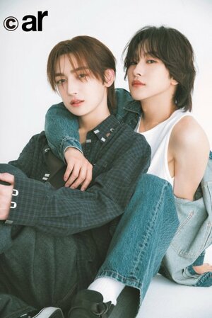 『ar』1月号に登場するROIROM