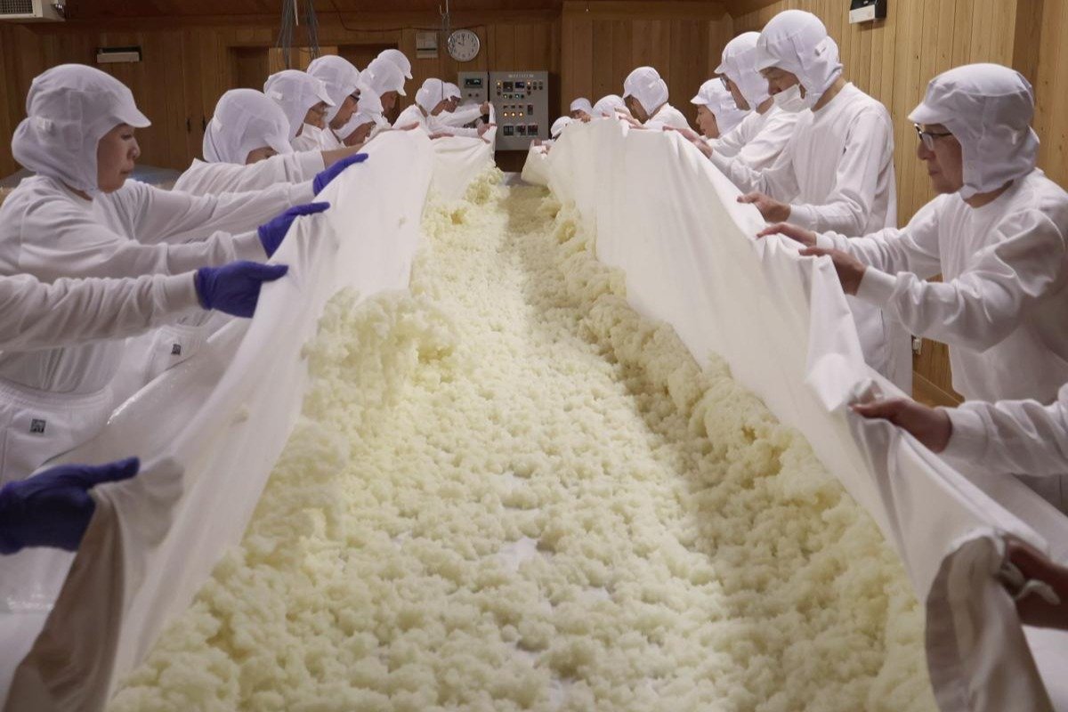 日本酒の魅力を体感、長岡でこうじ作り体験