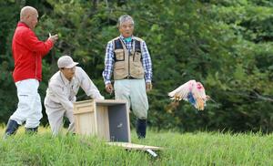 住民らに見守られながら、元気に飛び立つトキ