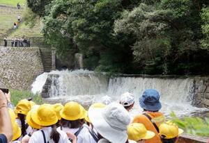 香川県まんのう町の満濃池で行われた「ゆる抜き」=15日午前