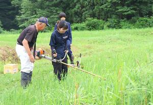 休耕田の草を刈る新潟食料農業大学の学生ら=胎内市大長谷