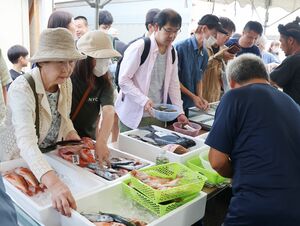 柏崎沖で取れたタイなどの地魚を漁業者が販売した朝市=柏崎市番神1
