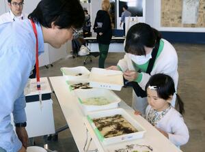 さまざまな種類の海藻で押し葉体験をする子どもたち=佐渡市両津夷