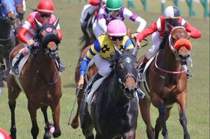 新潟競馬場でレースに騎乗した小林美駒騎手(中央)=2023年、新潟市北区