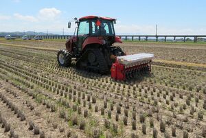 ふぁーむ大地のV溝直播の作業。2023年の刈り取り株を残したまま行った=5月、上越市頸城区