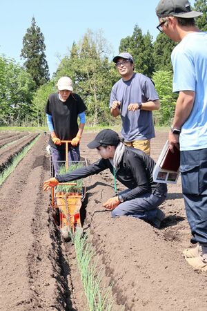ねぎ塾で苗の定植を学ぶ塾生ら。水品雅嗣塾長(奥右)がこつを丁寧に説明した=十日町市新町新田