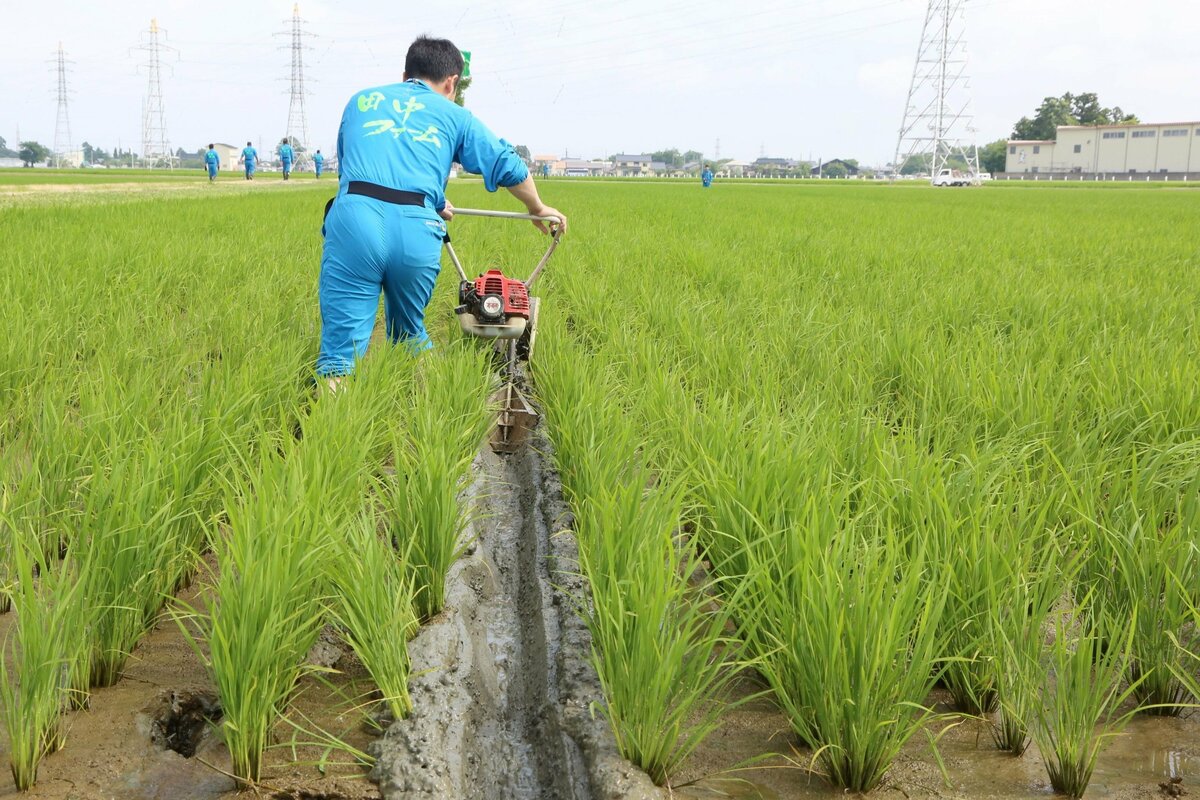 田んぼの「中干し」延長でメタンガス排出減！田中産業（新潟県上越市