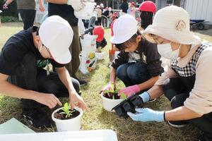 チューリップやパンジーなど4種類の植物を植栽=長岡市寺泊求草