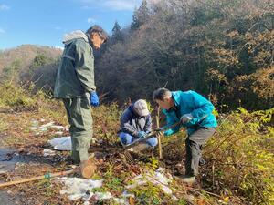桜を植樹する新穂地域づくり協議会のメンバーら＝佐渡市新穂地区