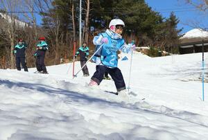 大回転競技に臨んだ小学生=佐渡市金井新保