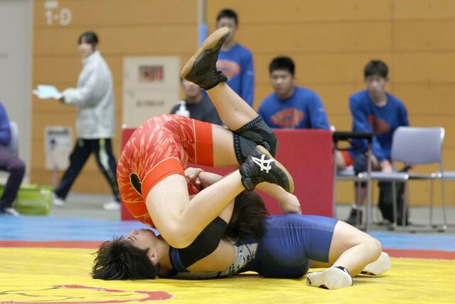 団体戦１回戦　喜多方桐桜（福島）－北越　攻める６５キロ級の川村奏嘉（青・北越）＝東総合スポーツセンター