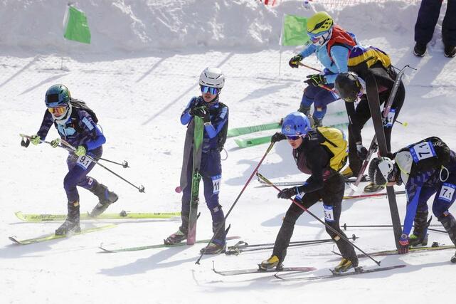 混合リレーに出場した（左から）田中友理恵、臼井夏海ら＝ヤブリ（共同）