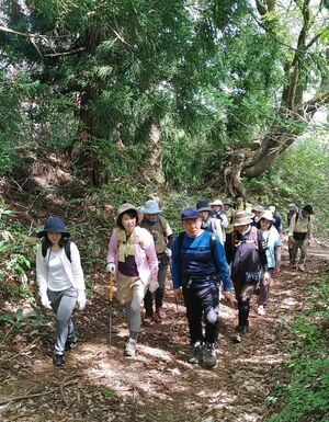 塩の道を歩く「道開き」の参加者=4月29日、糸魚川市
