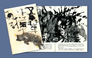 現代書と小説がコラボした本「詩人・寺原信夫の吾輩は猫である」