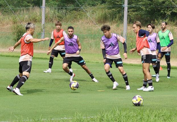 調整する新潟の選手ら=聖籠町