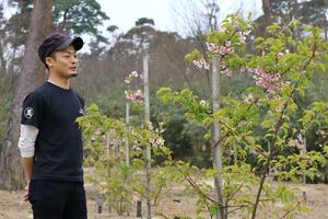 植樹した桜の咲き具合を確かめる久世俊介さん。根元には子どもたちが夢を書いた木札が立つ=胎内市乙