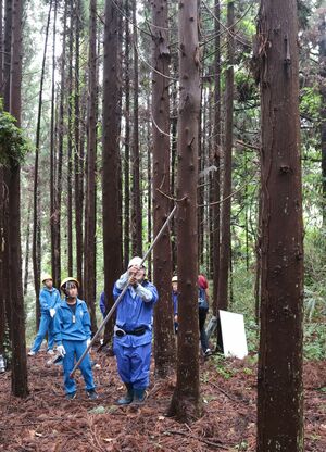 身近な森林の植生や管理について学ぶ生徒=6月24日、佐渡市の真野公園周辺