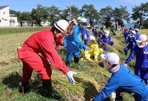 おおまき小の稲刈りを手伝った地球泉隊のーりんジャー=南魚沼市大杉新田