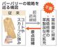バーバリーの戦略を巡る構図