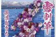 華やか！花で島の形かたどった、フレーム切手「雪割草　佐渡島（さど）育ち」島内の郵便局で販売開始　