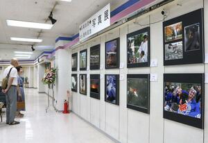 自然の情景や動植物の姿を、豊かな感性で捉えた力作が並ぶ「写楽加茂」の写真展=加茂市駅前