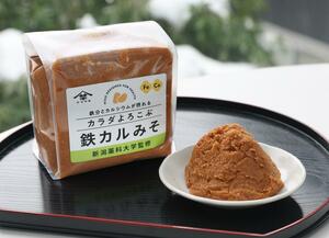 山崎醸造が発売した「鉄カルみそ」