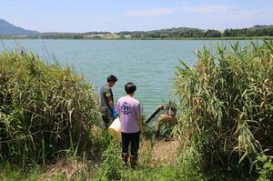 ハスが消失した佐潟=新潟市西区赤塚